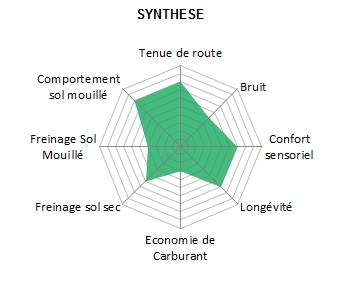 Pneu-Pirelli-CinturatoP6-2